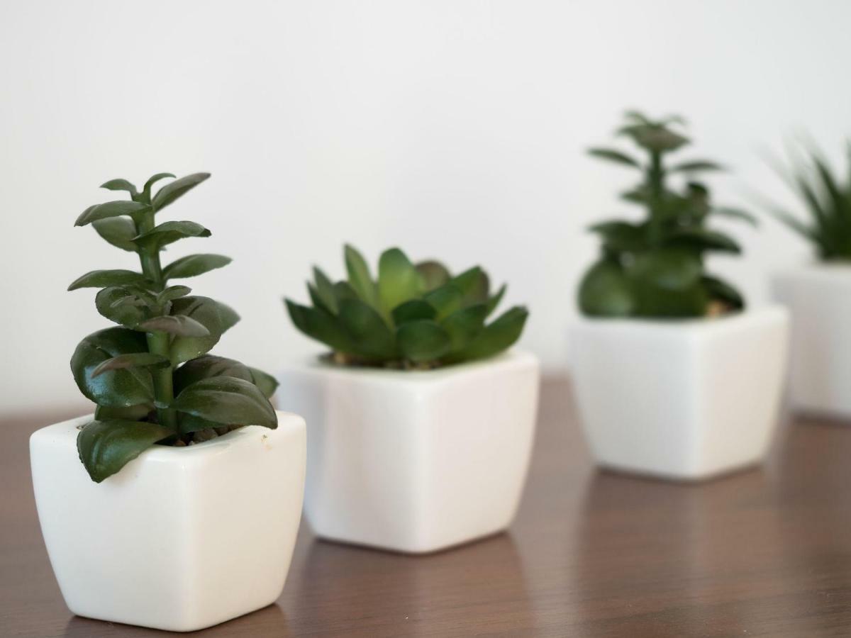 שיבניק Croatica Suites Podsolarsko מראה חיצוני תמונה